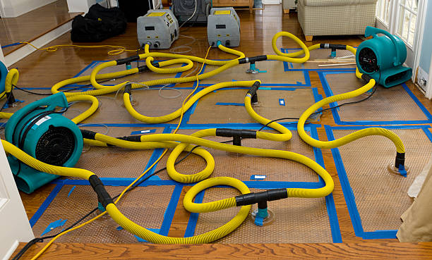 Professional Storm Water Damage Restoration technician working in New Rochelle, NY